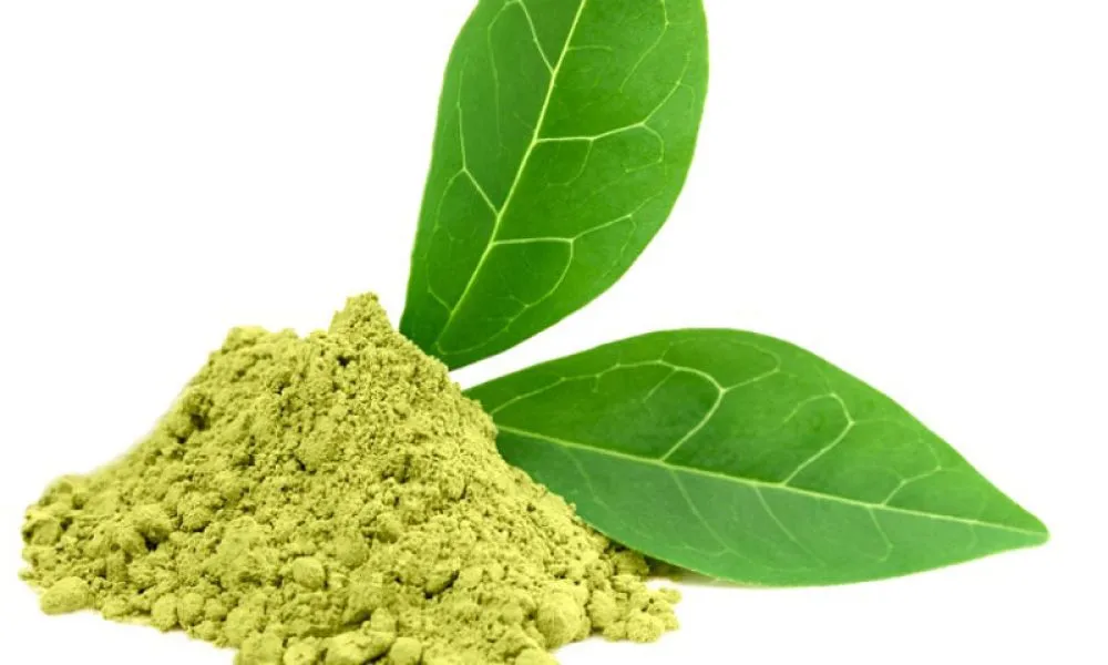 Green Tea Supplements To Help You Lose Weight | Ascend Regenerative in Denville, NJ